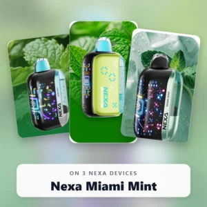 Nexa Miami Mint